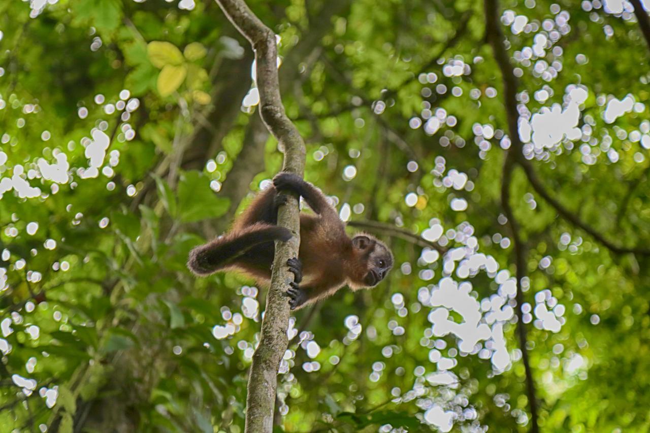 Ecoamazonia Lodge Puerto Maldonado Eksteriør billede